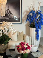 Orchidée Phalaenopsis — Collection Bourgogne, blanc