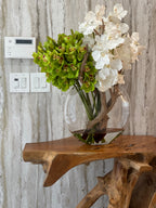 Orchidée Vanda — Collection Deauville, blanc