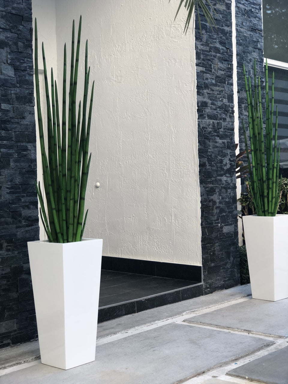 Sansevière — Collection Menton, 160 cm, blanc brillant