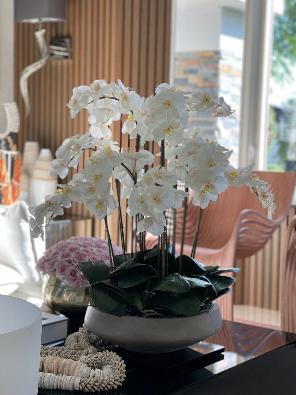 Orchidée Phalaenopsis — Collection Biarritz, blanc