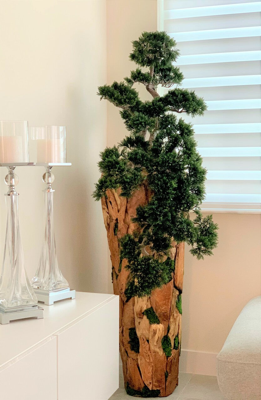 Bonsaï Grand — Collection Cannes, teck