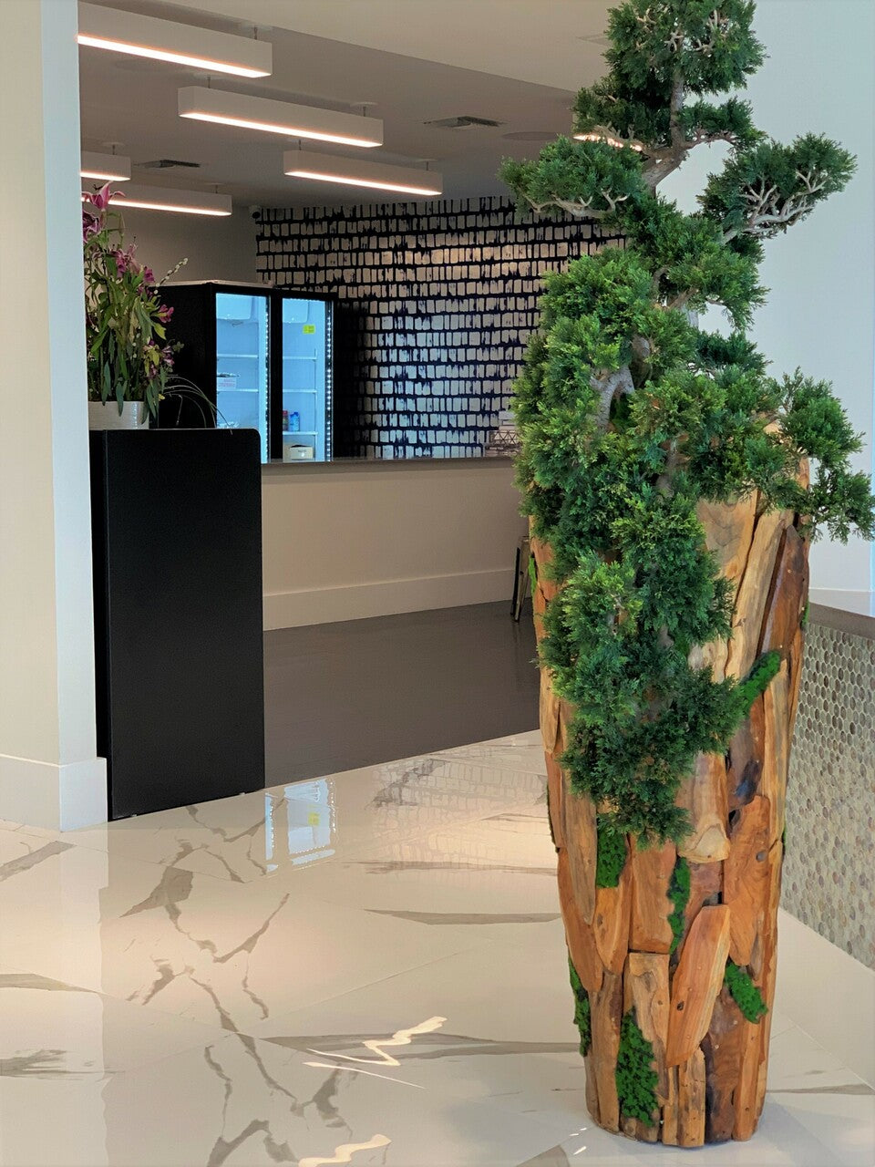 Bonsaï Grand — Collection Cannes, teck
