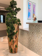 Bonsaï Grand — Collection Cannes, teck