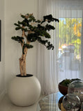 Bonsaï 76 cm · Édition Deauville, beige