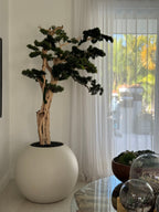 Bonsaï 76 cm · Édition Deauville, beige