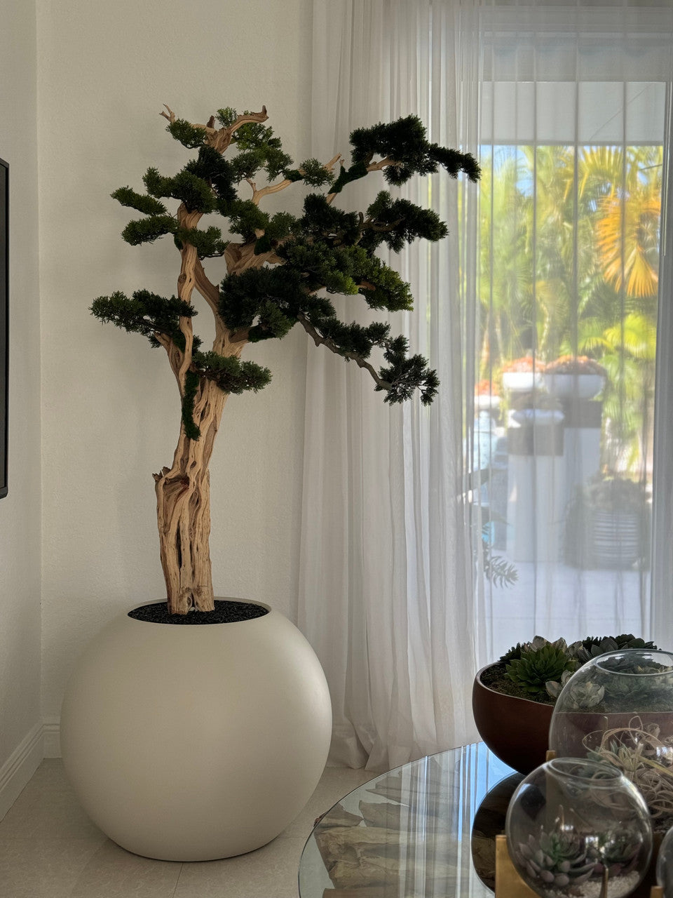 Bonsaï 76 cm · Édition Deauville, beige