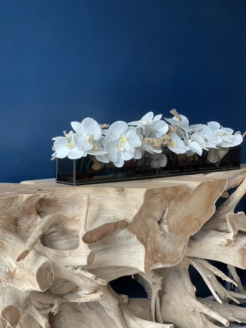 Orchidée Phalaenopsis 122 cm · Édition Cannes, blanc