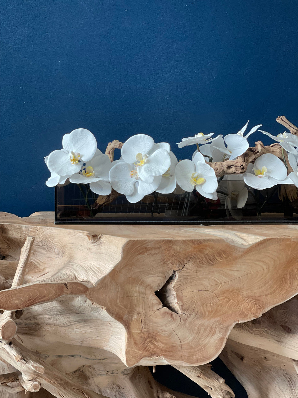 Orchidée Phalaenopsis 91 cm · Édition Anjou, blanc