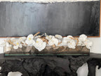 Orchidée Phalaenopsis 122 cm · Édition Cannes, blanc