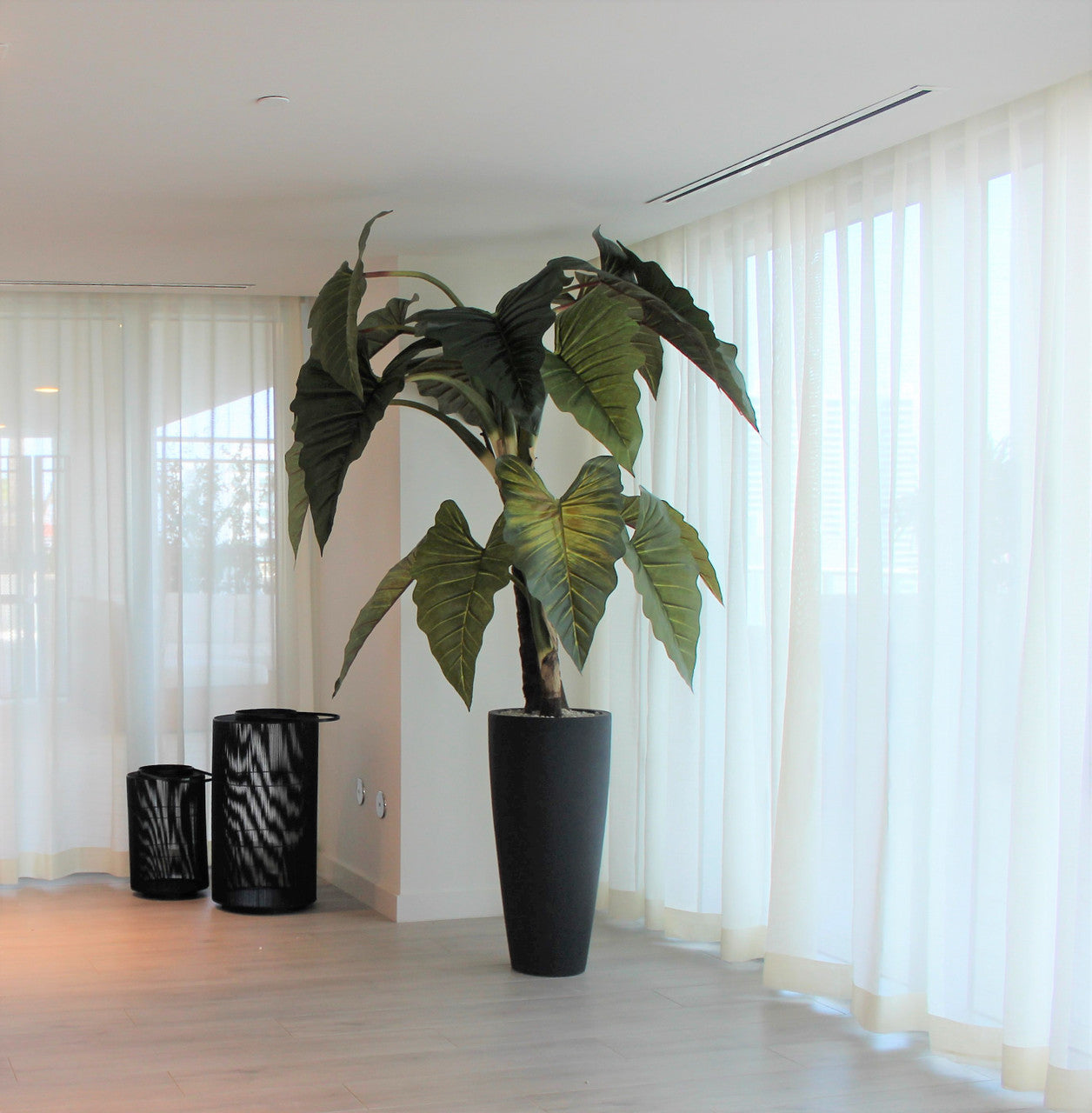 Alocasia | Signature Provence, rouge