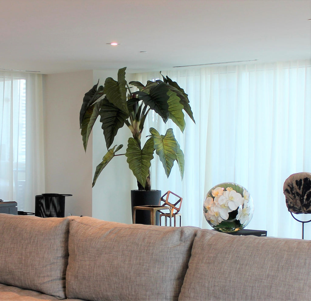Alocasia | Signature Provence, rouge