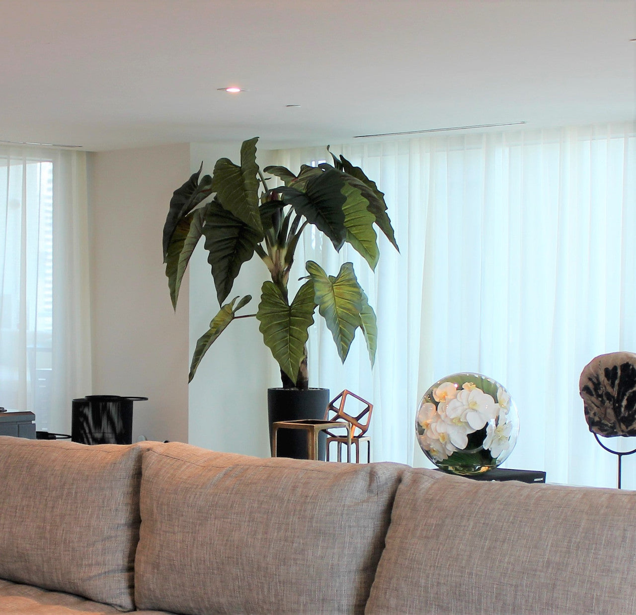 Alocasia | Signature Provence, rouge