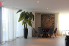 Alocasia | Signature Provence, rouge