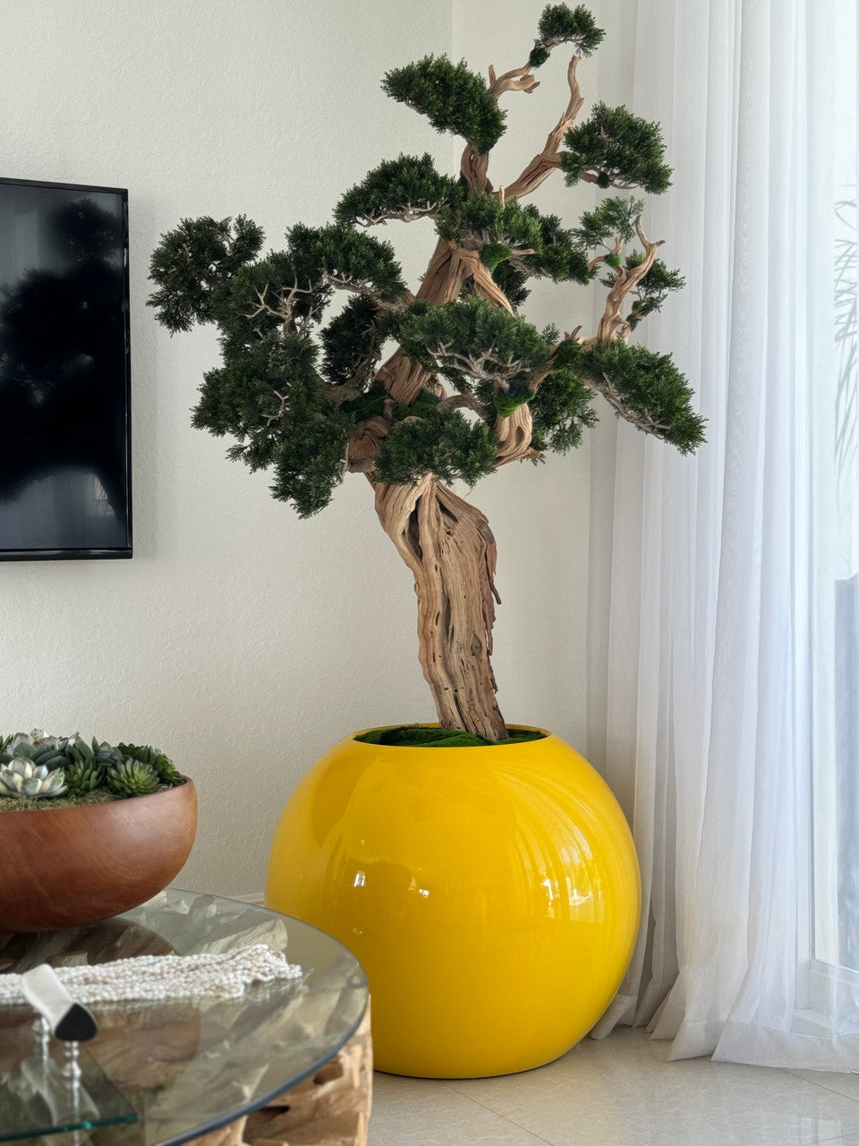 Bonsaï — Collection Anjou, 76 cm, jaune