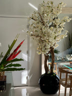 Cerisier en Fleurs — Collection Aquitaine, noir brillant