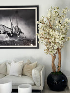 Cerisier en Fleurs — Collection Aquitaine, noir brillant
