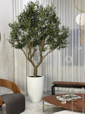 Olivier 249 cm | Signature Vosges, blanc brillant
