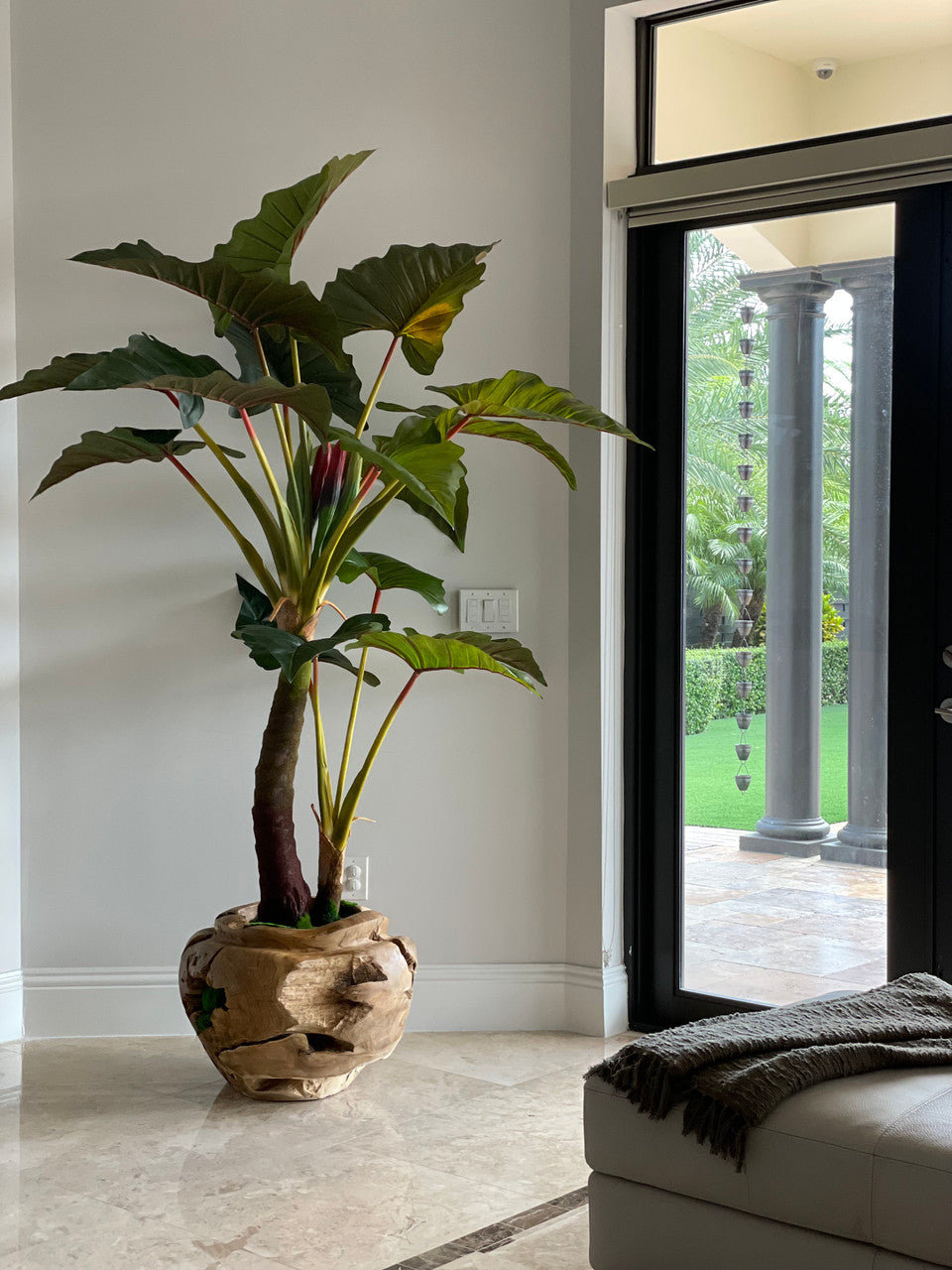 Plante Tropicale XXL — Collection Aquitaine
