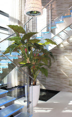 Alocasia XL — Collection Anjou, blanc brillant
