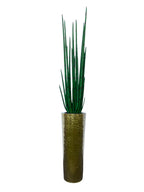 Sansevière Grand 71 cm | Signature Nantes