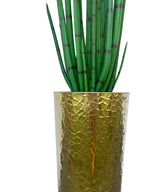 Sansevière Grand 71 cm | Signature Nantes
