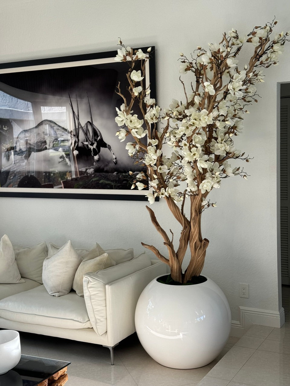 Composition Magnolia 76 cm | Signature Cannes, blanc brillant