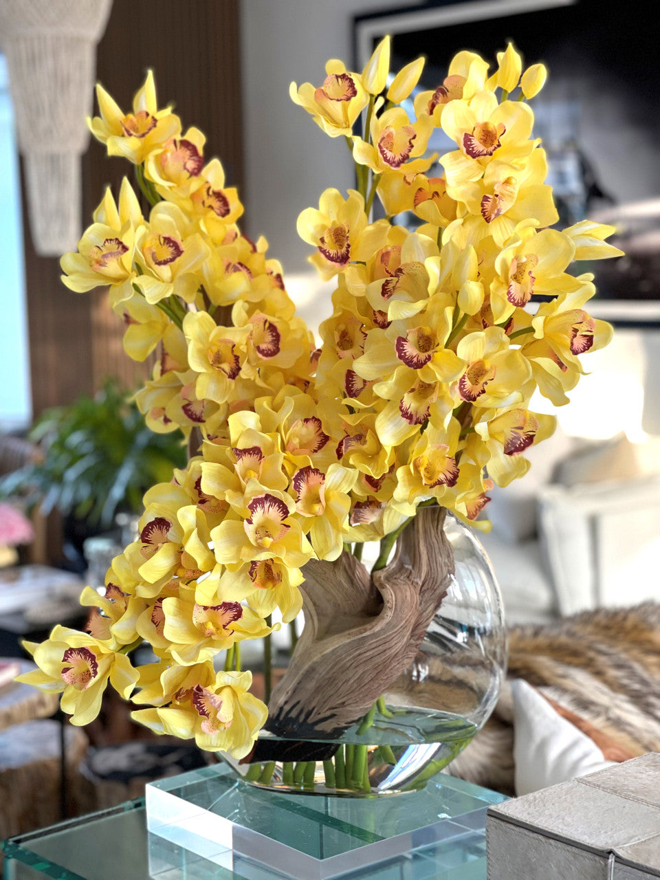 Orchidée Cymbidium — Collection Deauville, jaune