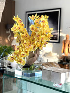Orchidée Cymbidium — Collection Deauville, jaune