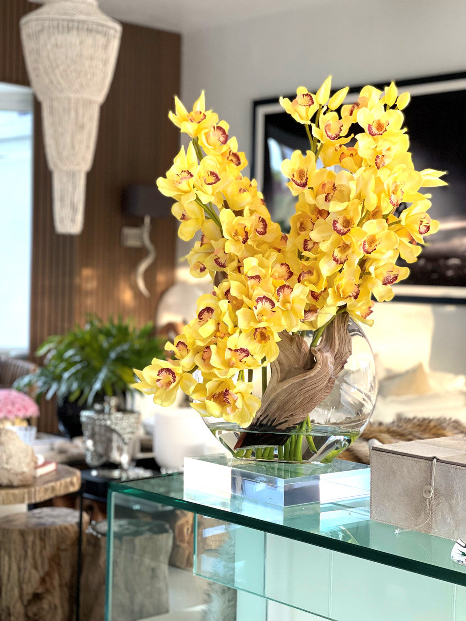 Orchidée Cymbidium — Collection Deauville, jaune