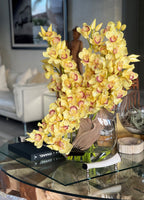 Orchidée Cymbidium — Collection Deauville, jaune