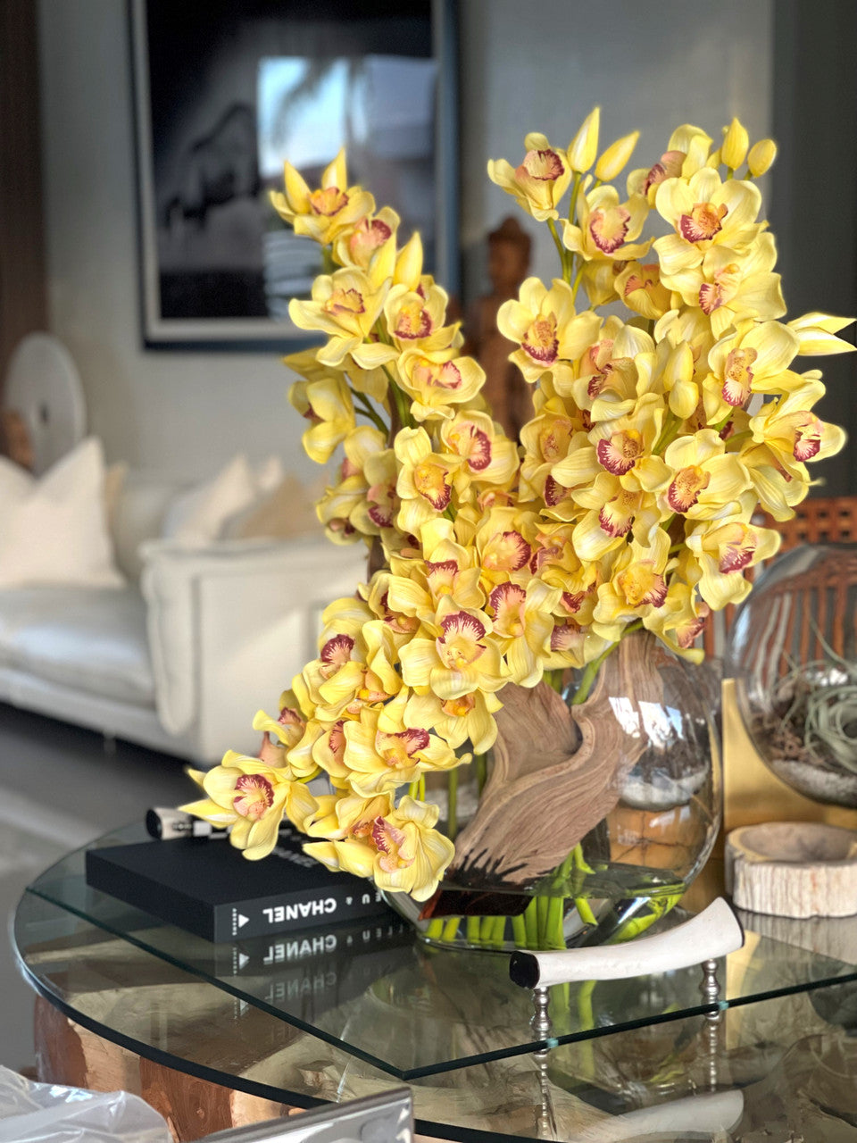 Orchidée Cymbidium — Collection Deauville, jaune