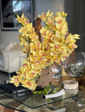 Orchidée Cymbidium — Collection Deauville, jaune