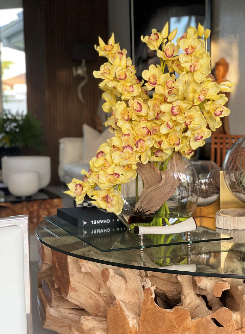 Orchidée Cymbidium — Collection Deauville, jaune