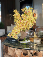 Orchidée Cymbidium — Collection Deauville, jaune