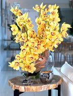 Orchidée Cymbidium — Collection Deauville, jaune