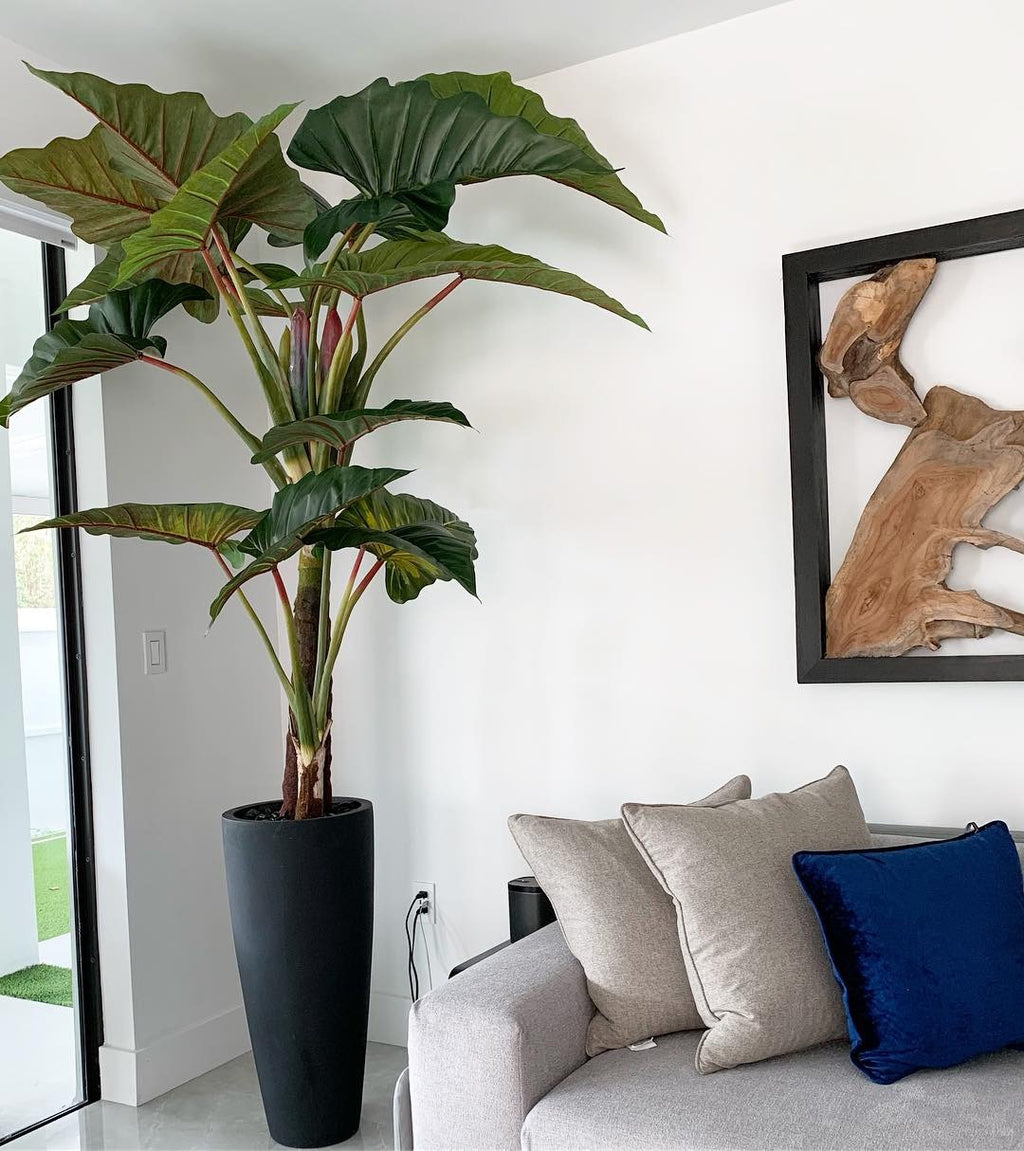 Alocasia | Signature Provence, rouge