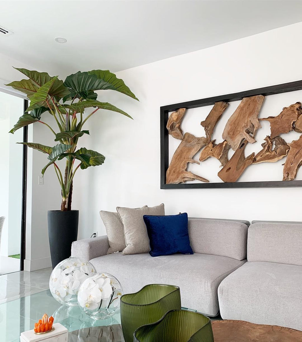 Alocasia | Signature Provence, rouge