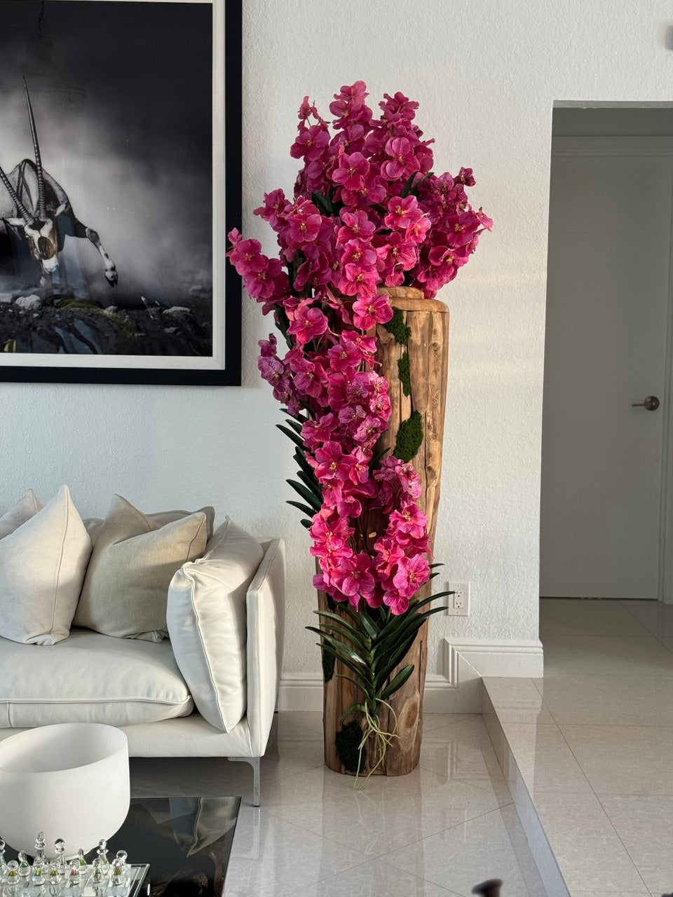 Orchidée Vanda Grand | Signature Périgord, teck