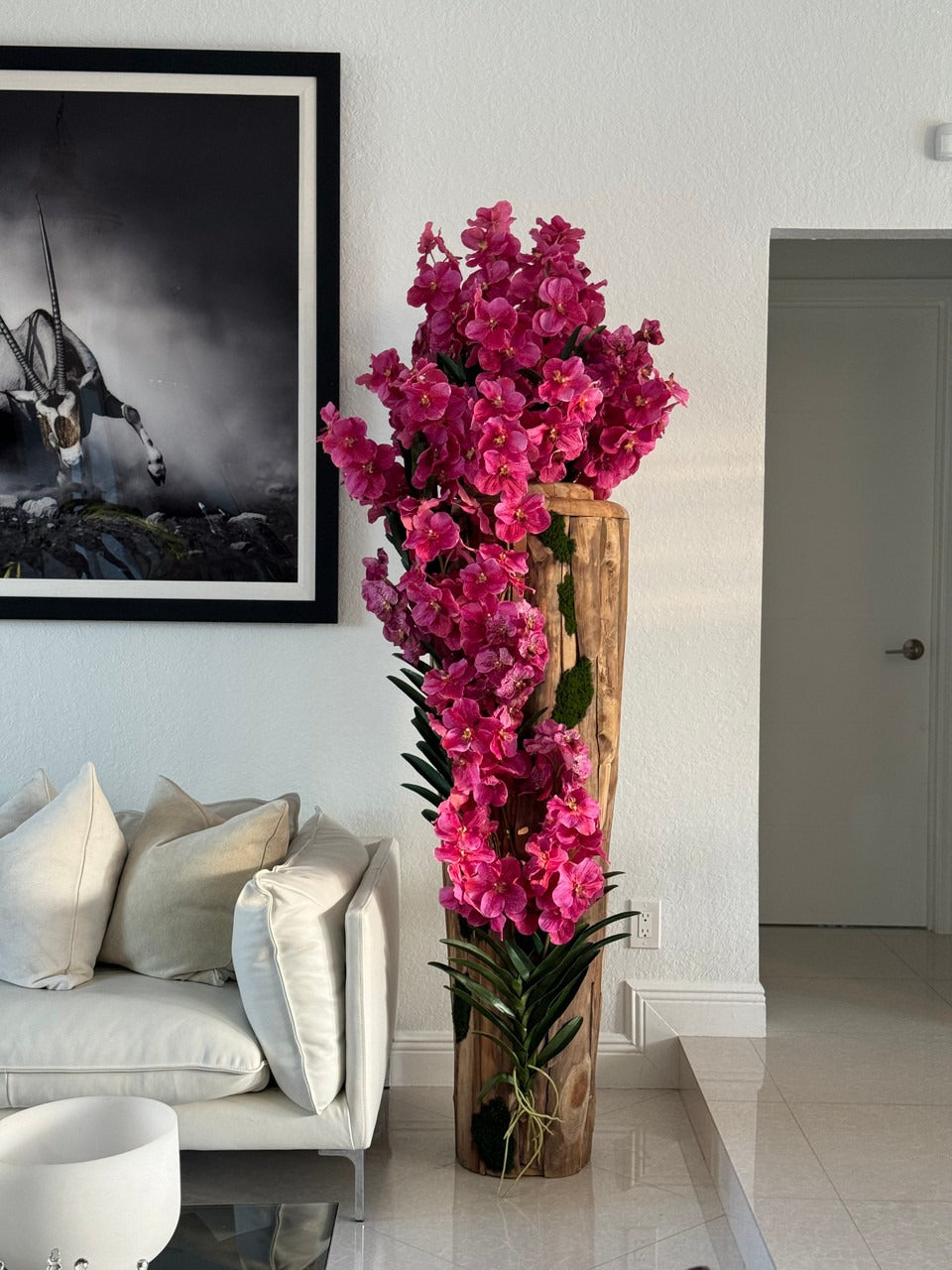 Orchidée Vanda Grand | Signature Périgord, teck