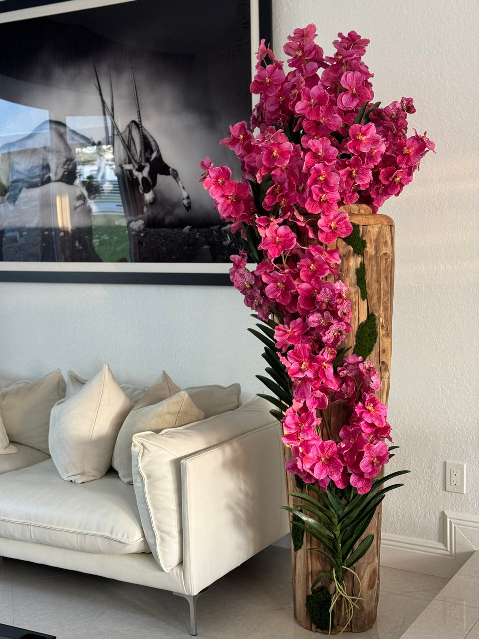 Orchidée Vanda Grand | Signature Périgord, teck