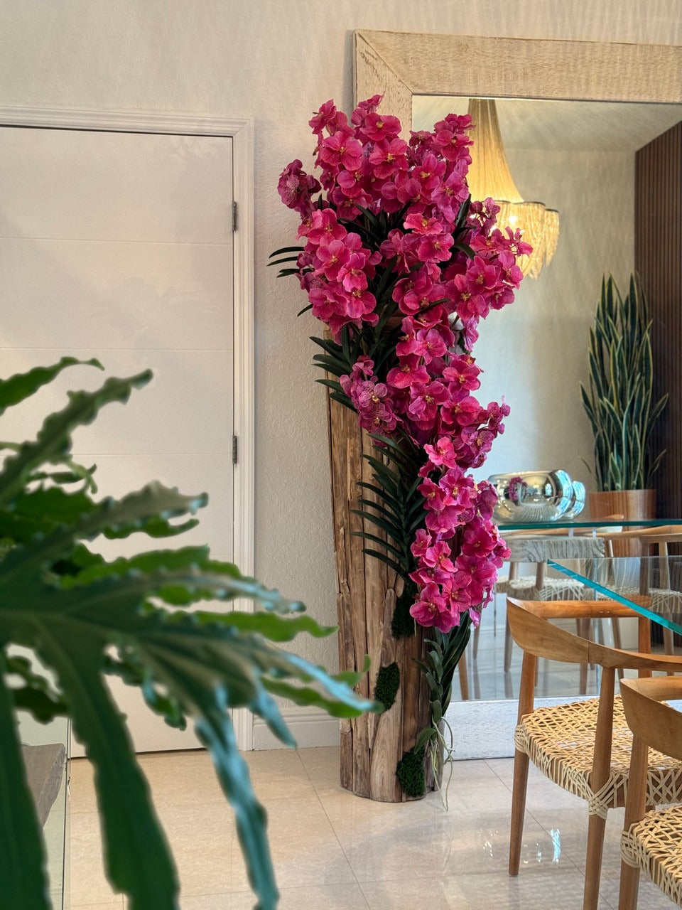 Orchidée Vanda Grand | Signature Périgord, teck