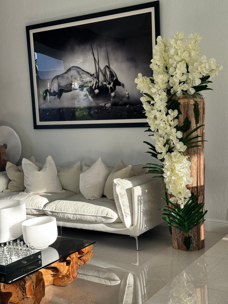 Orchidée Vanda Grand · Édition Vosges, teck