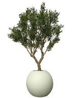 Olivier 76 cm | Signature Menton, beige mat