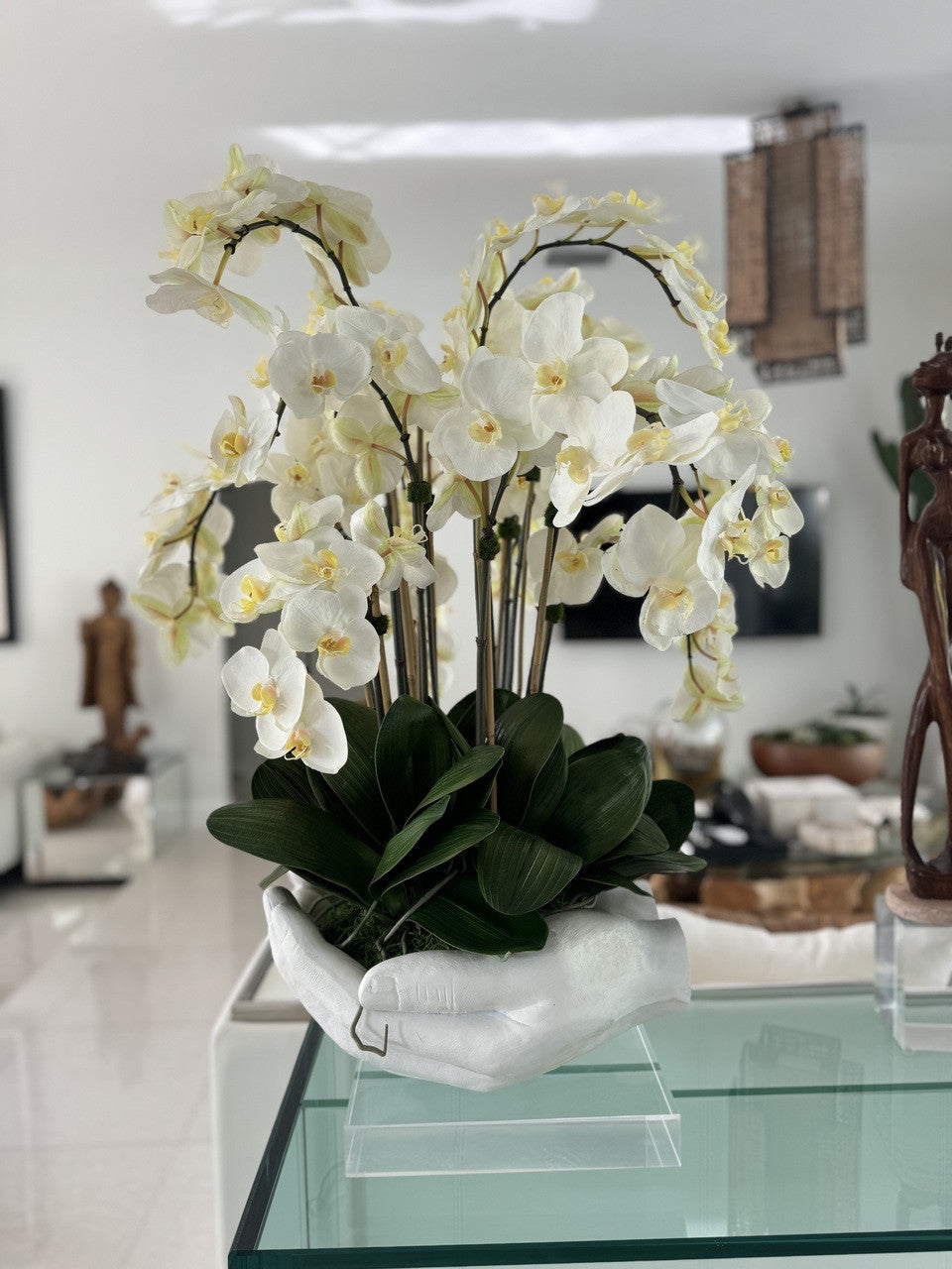 Orchidée Phalaenopsis | Signature Camargue, blanc