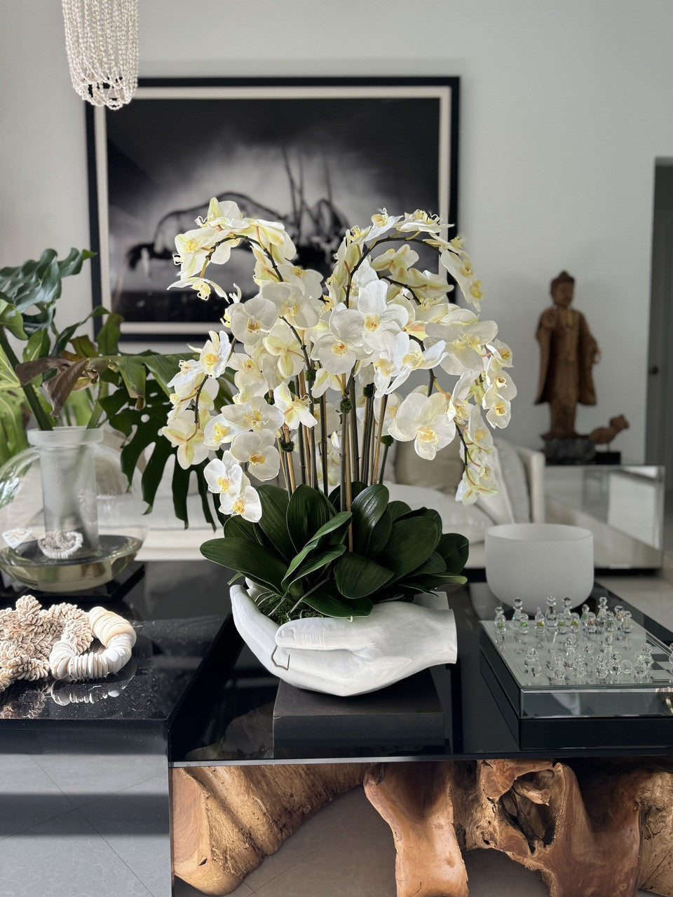 Orchidée Phalaenopsis | Signature Camargue, blanc