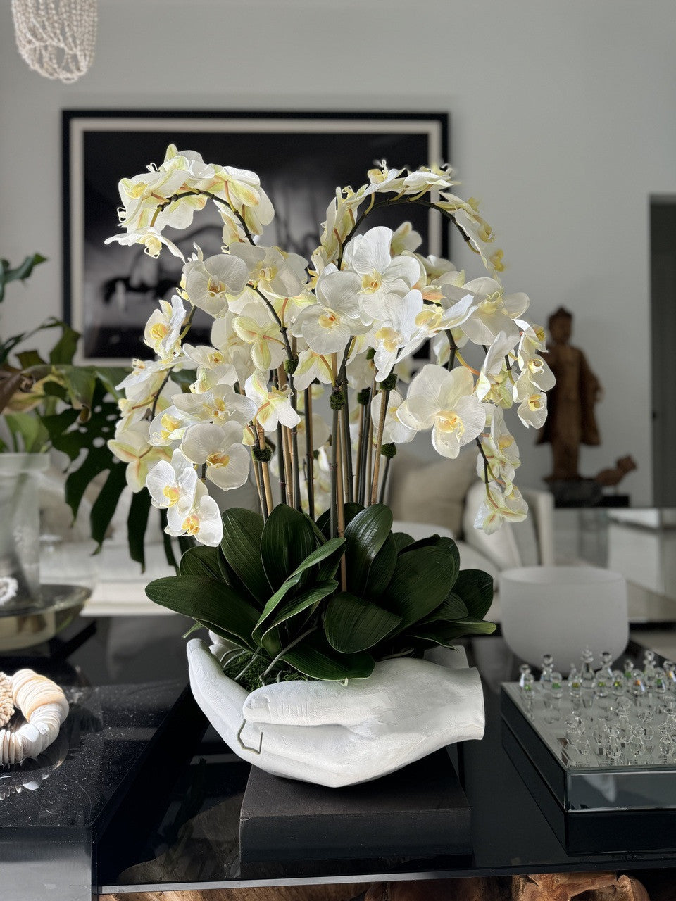 Orchidée Phalaenopsis | Signature Camargue, blanc