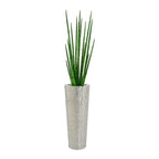 Sansevière 122 cm · Édition Alsace
