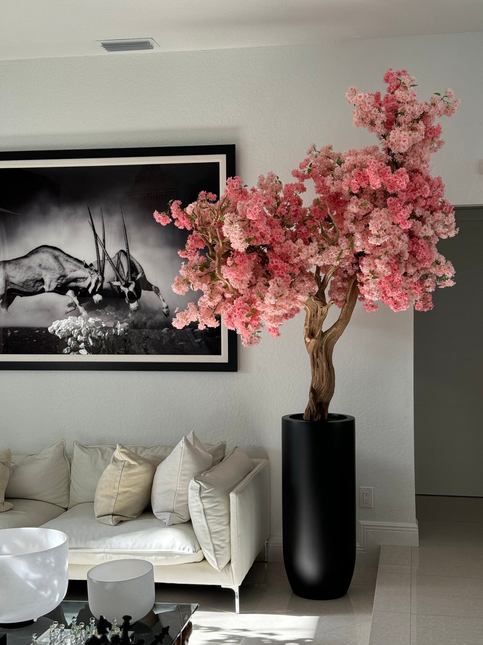 Cerisier en Fleurs — Collection Biarritz, rose mat