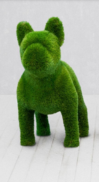 Sculpture Végétale · Édition Périgord