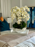 Orchidée Phalaenopsis | Signature Camargue, blanc